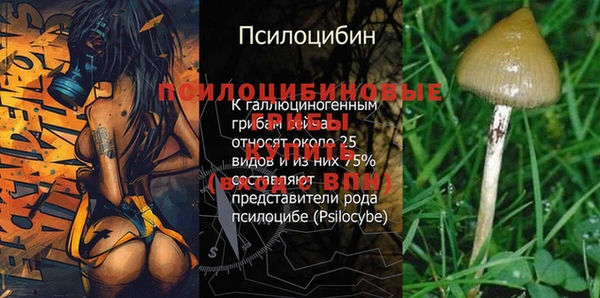 СК Беломорск