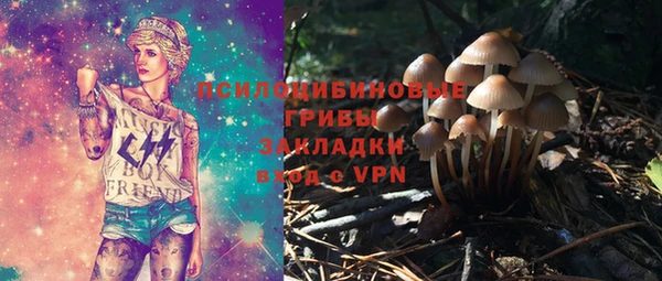 а пвп мука Белокуриха