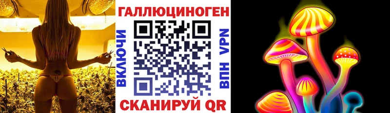 Псилоцибиновые грибы Psilocybe  Гудермес 
