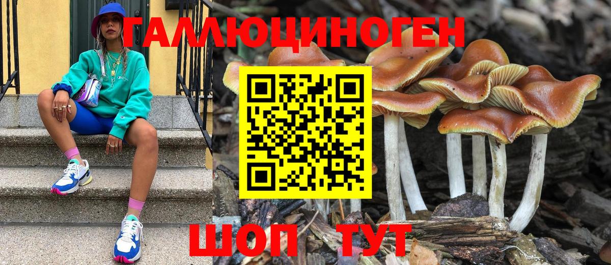купить   Вход с VPN  Гудермес  Псилоцибиновые грибы Magic Shrooms  Псилоцибиновые грибы Psilocybine cubensis 