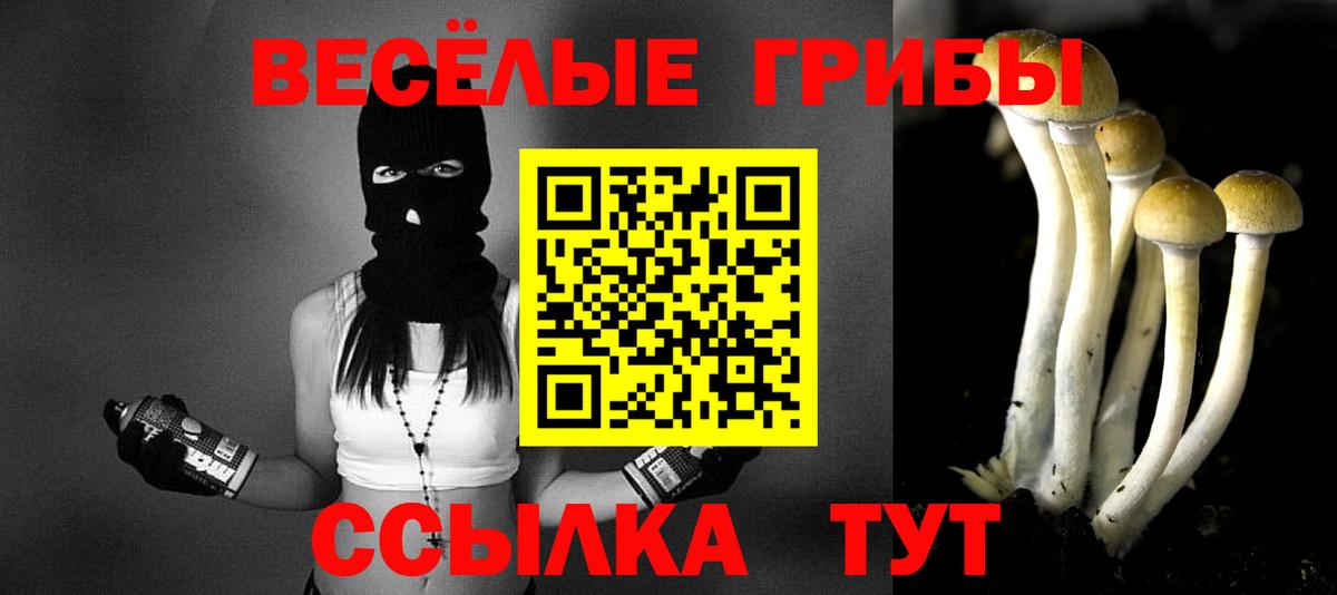 Галлюциногенные грибы мухоморы  Гудермес 