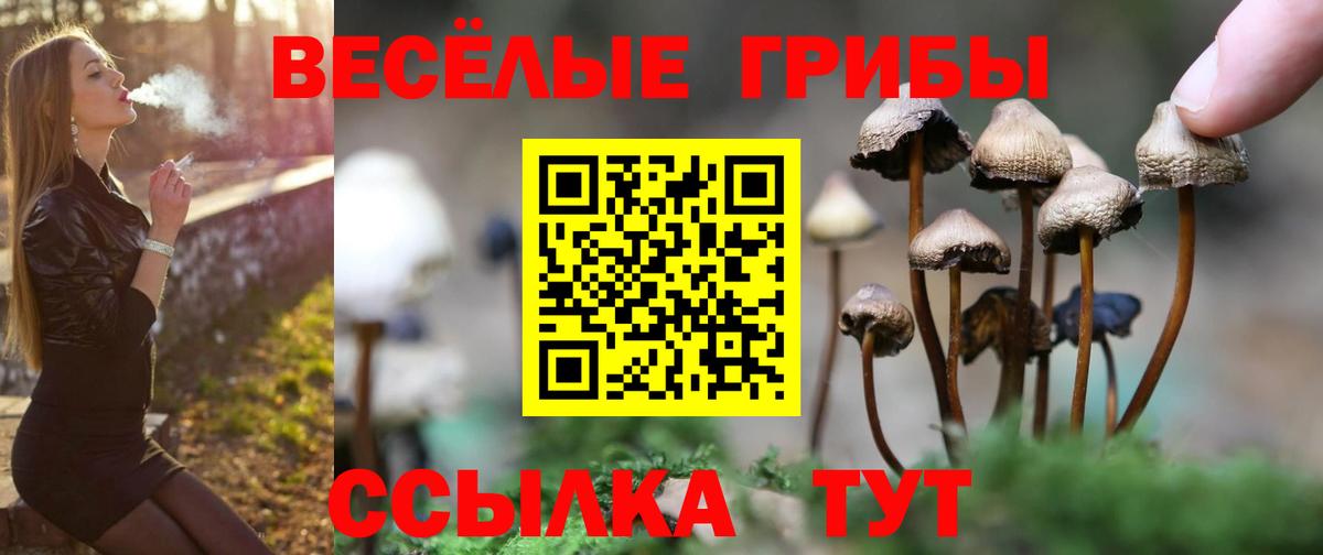 Псилоцибиновые грибы MAGIC MUSHROOMS Гудермес